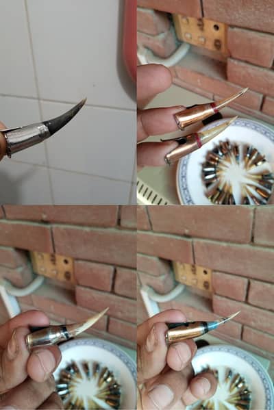 Keel 17 jori & Aseel pathy aur murgian