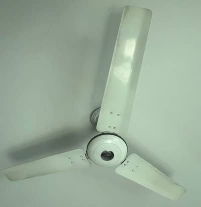 ceiling fans royal and gfc