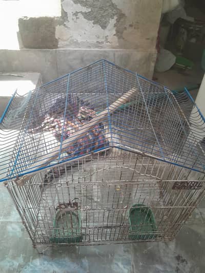 cage for parrot or birds