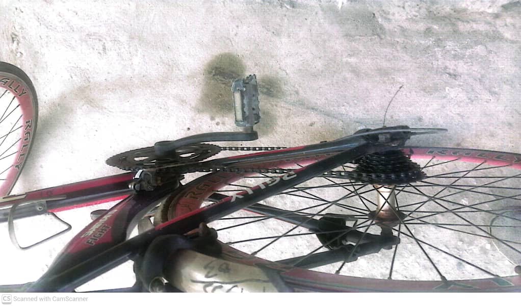 speedy bicycle 3