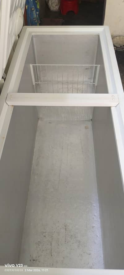 only phone call WhatsApp