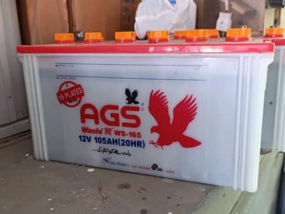 AGS WS 165 ampair 19 plates 2 batteries