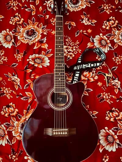 Tawan Sign Acoustic Guitars - Lush Condition & Premium Sound