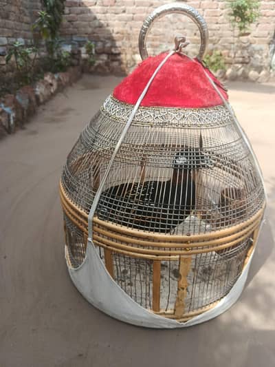 Kala teeter for sale