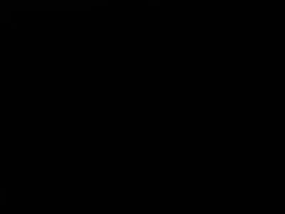 courier percel delivery