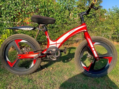 BEIDUOFU 20" Imported Disk Brakes Bicycle