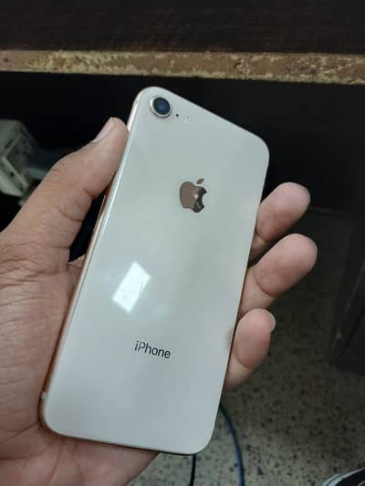 iPhone 8 officially PTA Approved