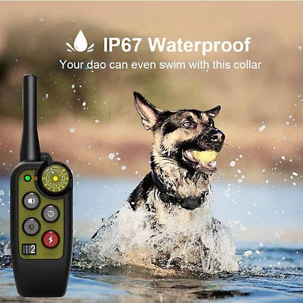 Professional Dual Dog Training Collar System with Remote – 500m Long Range Waterproof Rechargeable for Two Dogs