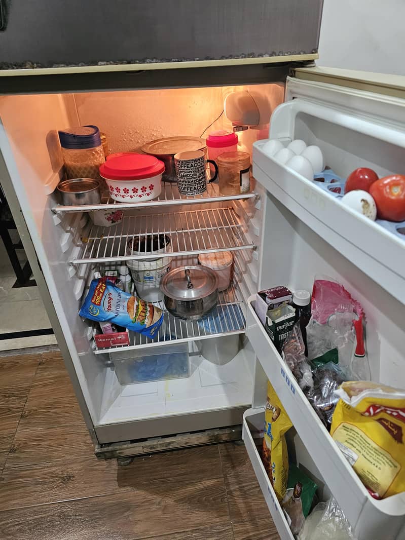 medium fridge 2