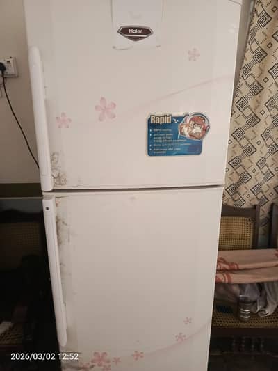refrigerator