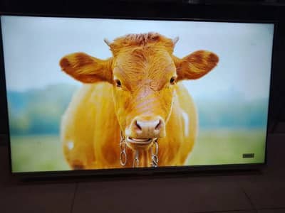 43 INCH LED,40 SMART UHD 8K MODEL 3 YEAR WARRANTY O3294774453