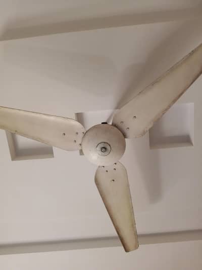 ceiling fan for sale