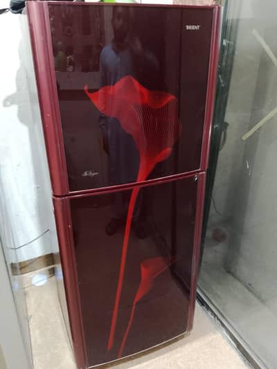 all ok glass door  midiyam saiz