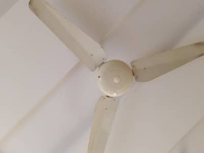 ceiling fan for sale