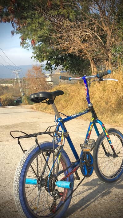 Phoenix cycle 20 number