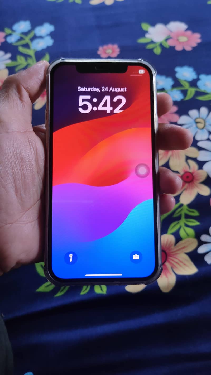 iphone 12 pro 1