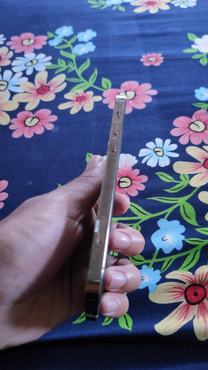 iphone 12 pro 2