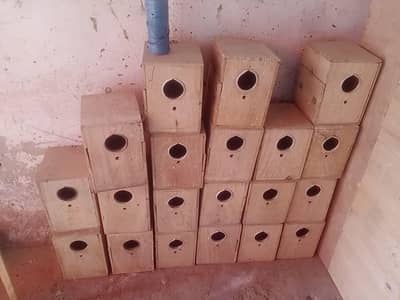 fisher love bird box