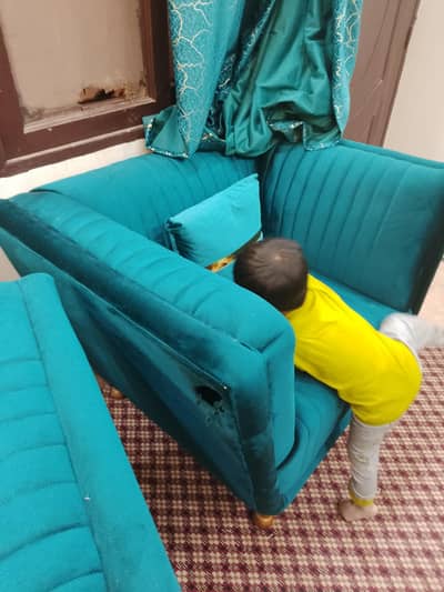 see green sofa velvet  ka he