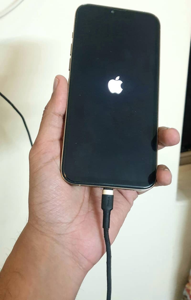 iphone 13 Pro Max 2