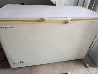 varioline intercool deepfreezer