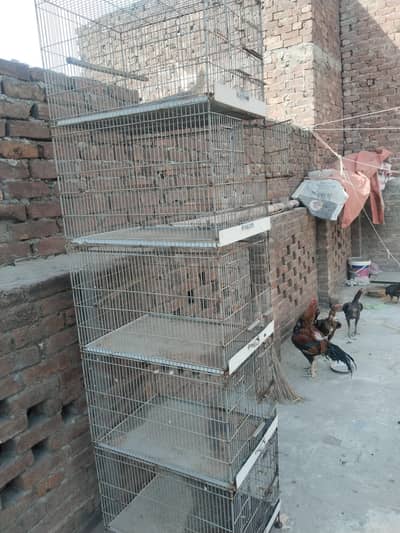 five portion cage for sale