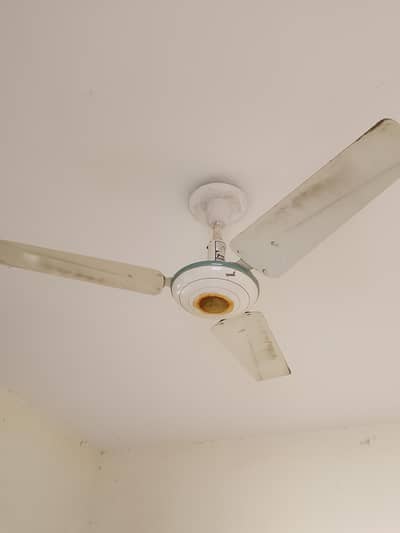 Ceiling Fan (Younis Company)