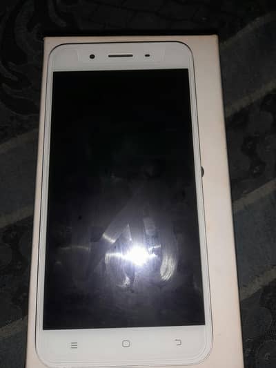 box sath ha Whatsapp number 03258128699