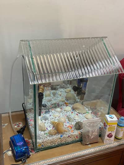 Full loaded aquarium 10/10 condition