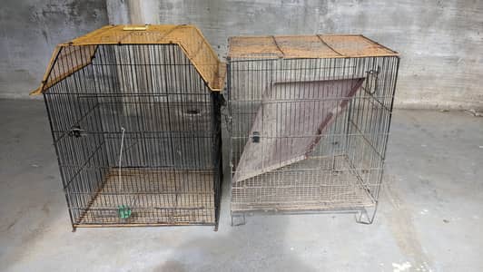Birds Cages