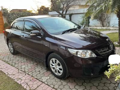 Total genuine GLI 2013