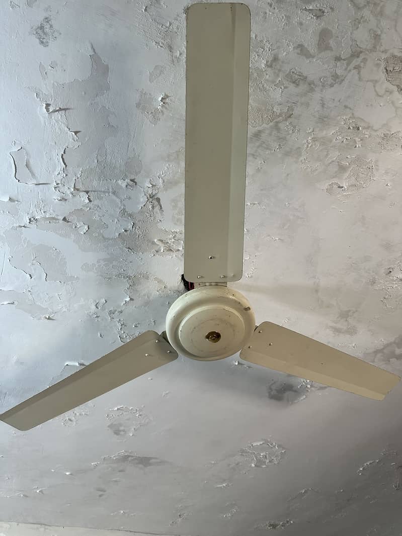 Ceiling Fan 1