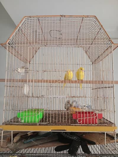 one portion wale 2 used cage for sale