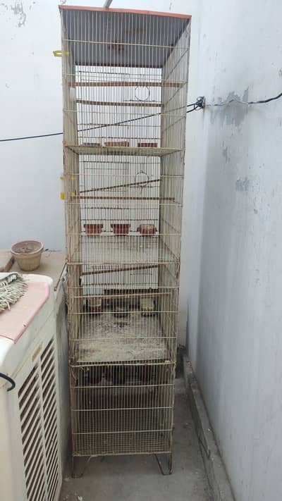 Birds cage