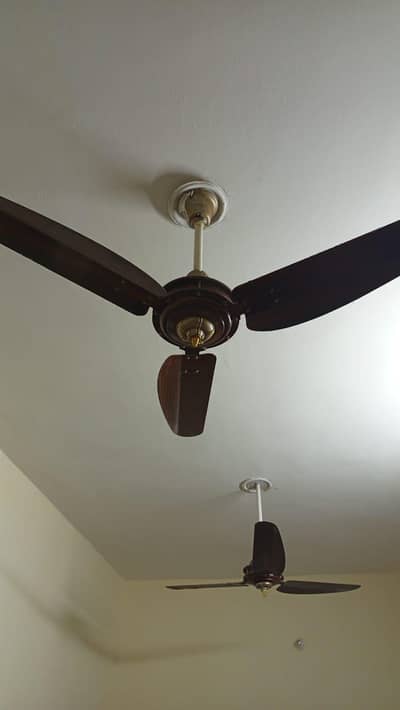 ceiling fans