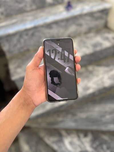 11 ProMax ( 64 Gb ) Jv