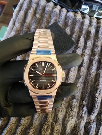 Pagani design men's watch