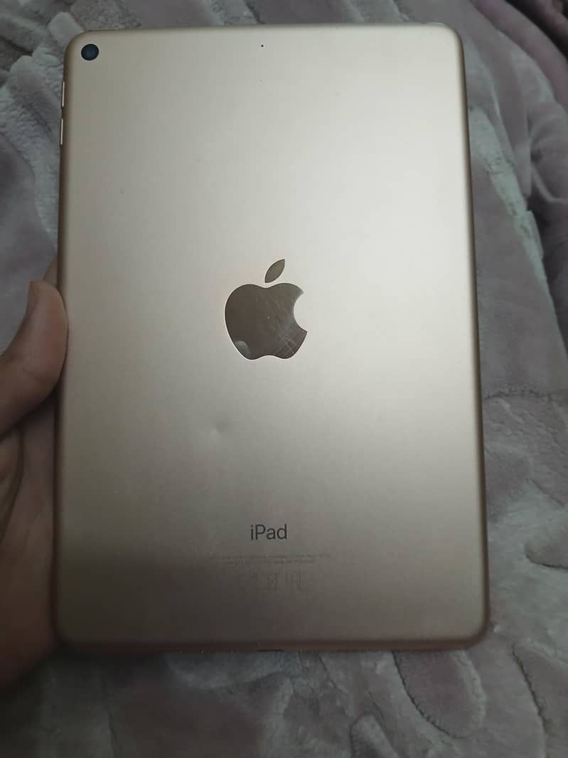 IPAD MINI 5 PANEL ISSUE ONLY 0