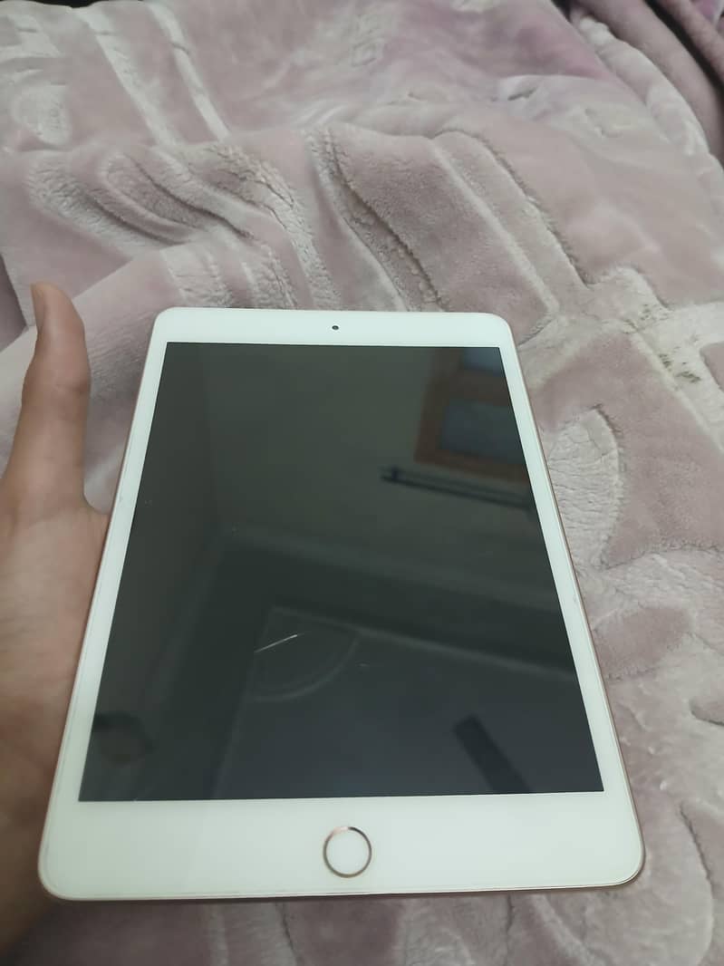 IPAD MINI 5 PANEL ISSUE ONLY 2