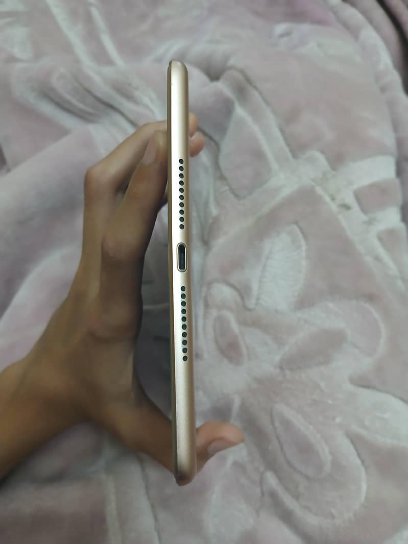 IPAD MINI 5 PANEL ISSUE ONLY 5