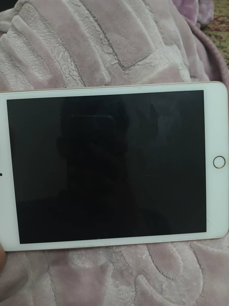 IPAD MINI 5 PANEL ISSUE ONLY 6