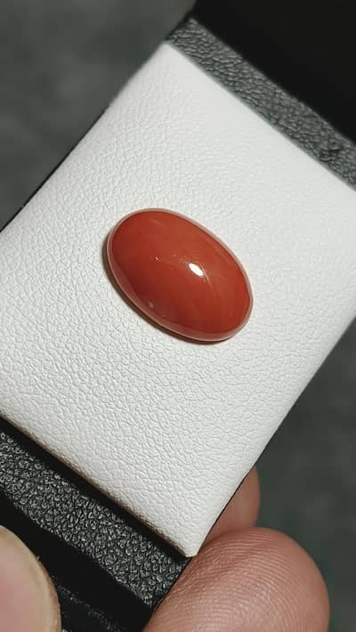 Natural Italian Coral ( Real Marjan stone ) best quality oval shape