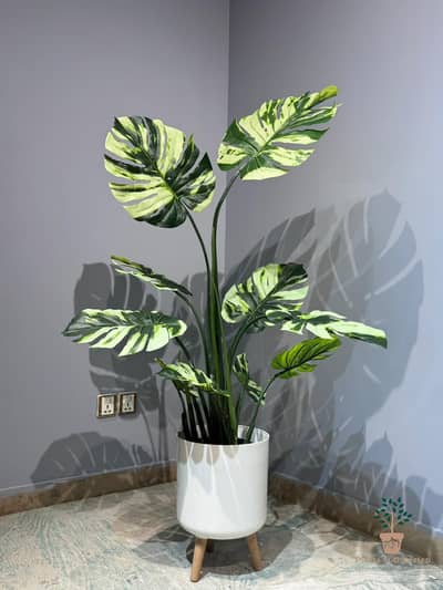 Ivory Artificial Monstera Thai Constellation Plant