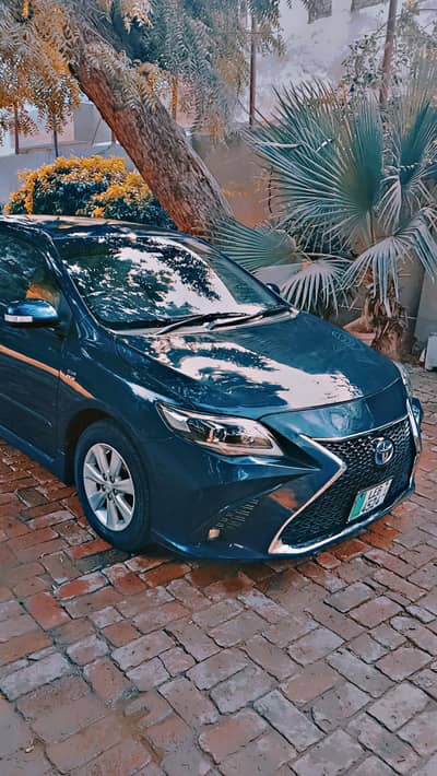 seariuce persons contact