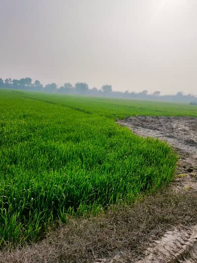 104 KANALcontrol shed or AGRICULTURE LAND FROM MULTAN CITY 18KM WITH SOLAR SYSTEM AND KINO GARDEN IN LAND