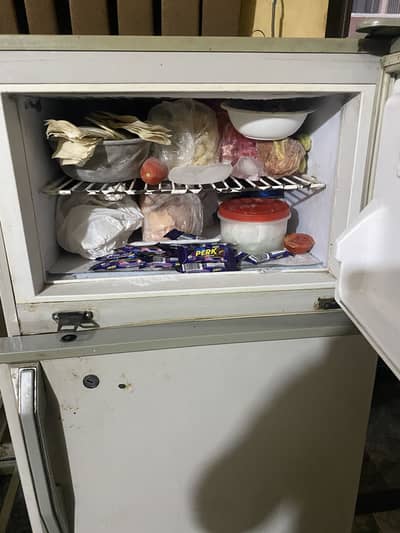 Pel deep freezer| double door deep freezer| fast cooling freezer