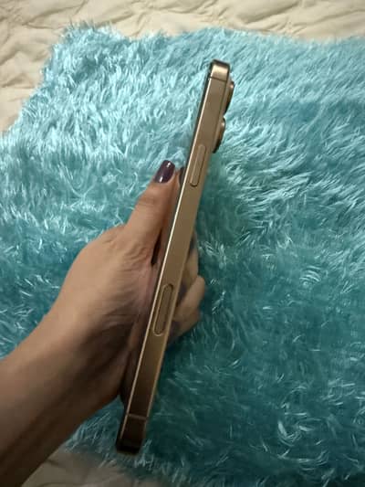 iphone 16 pro max with box