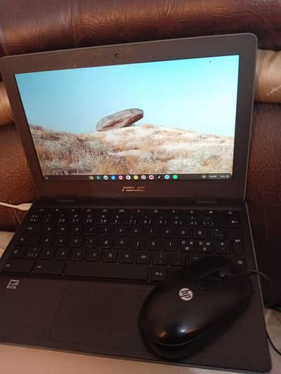 Asus C202SA 11.6 Chromebook| 03703817450|