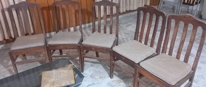 dining chair in best wood