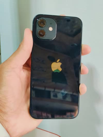 IPHONE 12